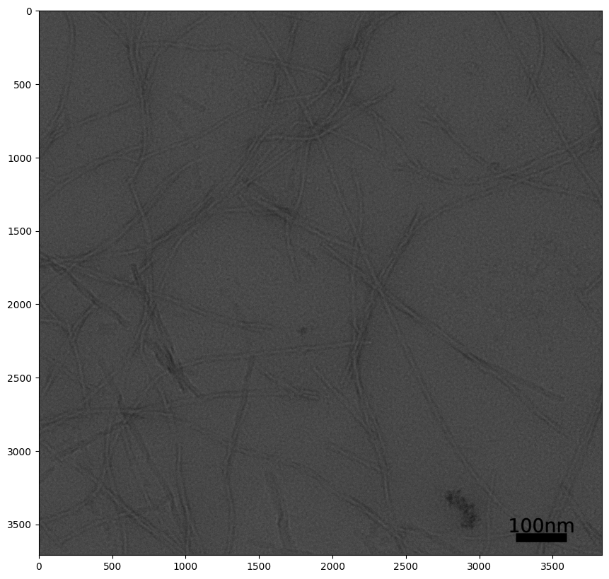 ../_images/Tutorials_MicrographAnalysisTutorial_123_1.png
