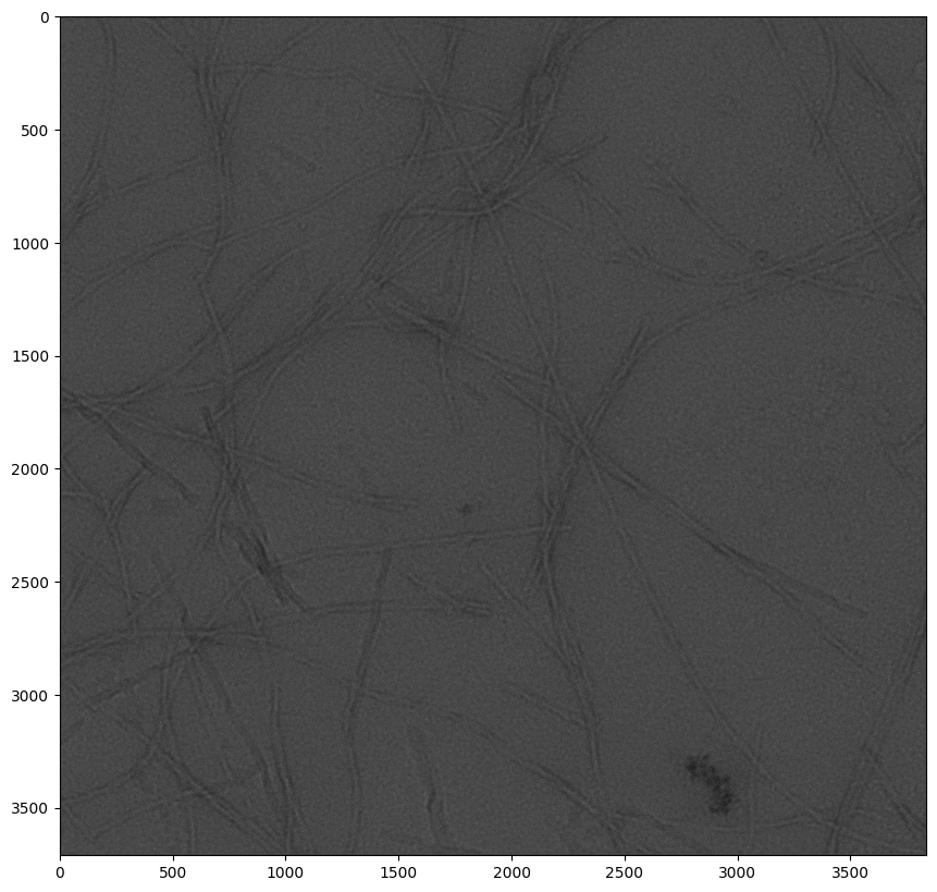 ../_images/Tutorials_MicrographAnalysisTutorial_13_0.png