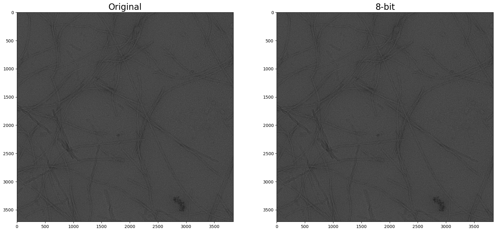 ../_images/Tutorials_MicrographAnalysisTutorial_65_0.png