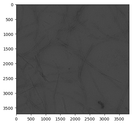 ../_images/Tutorials_MicrographAnalysisTutorial_73_0.png