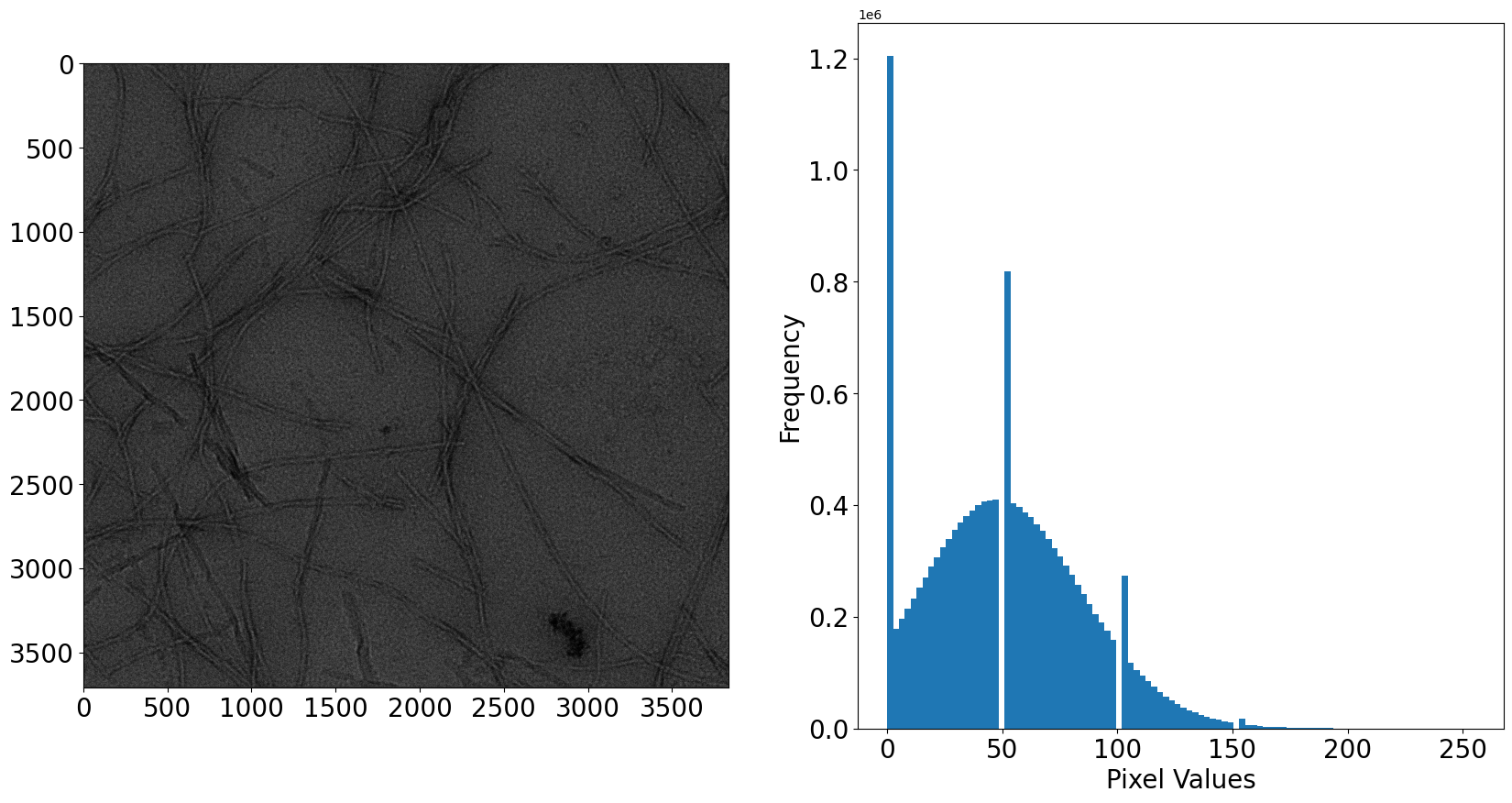../_images/Tutorials_MicrographAnalysisTutorial_76_0.png