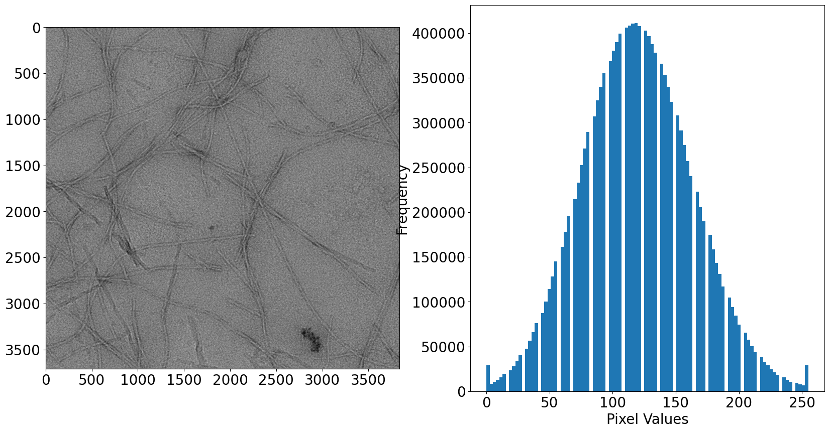 ../_images/Tutorials_MicrographAnalysisTutorial_78_1.png