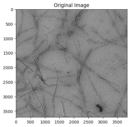 ../_images/Tutorials_MicrographAnalysisTutorial_96_0.png
