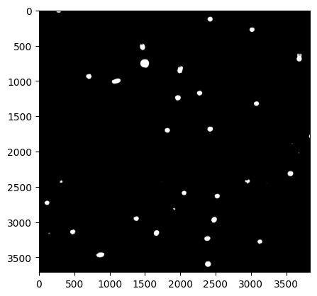 ../_images/Tutorials_Particle_analysis_tutorial_23_0.png